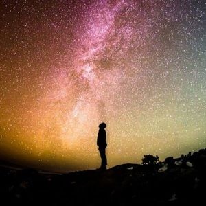 Meet your Posher, Leonard